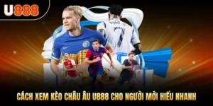 Cách Xem Kèo Châu Âu U888 Cho Người Mới Hiểu Nhanh