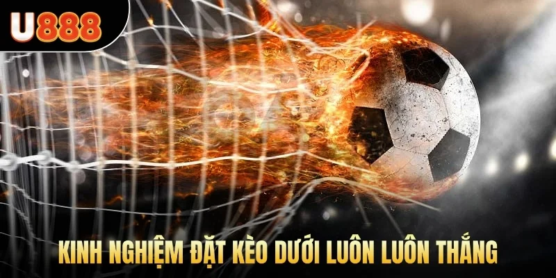 Kinh nghiệm đặt kèo dưới luôn luôn thắng