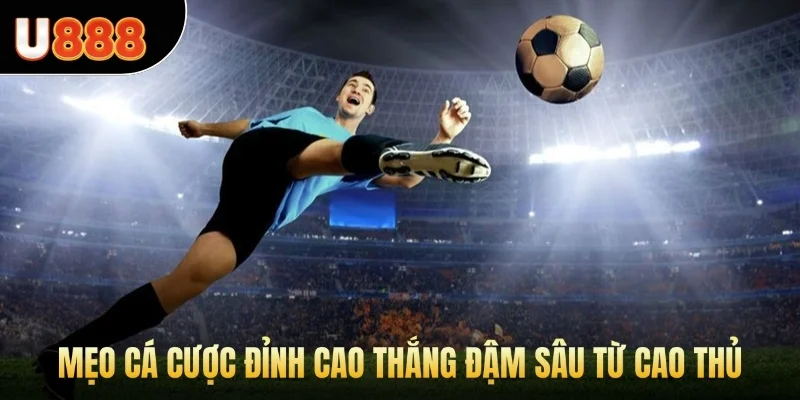 Mẹo cá cược đỉnh cao thắng đậm sâu từ cao thủ 