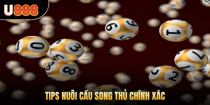 Tips nuôi cầu song thủ chính xác